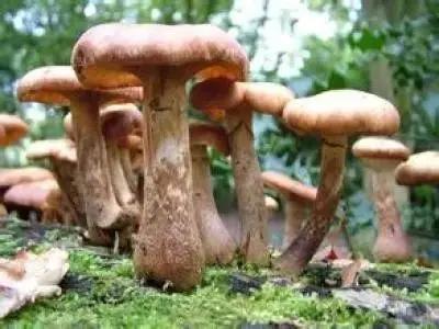 建议你看完了也保存下 百万都买不到这张表!为了家人赶紧收藏!