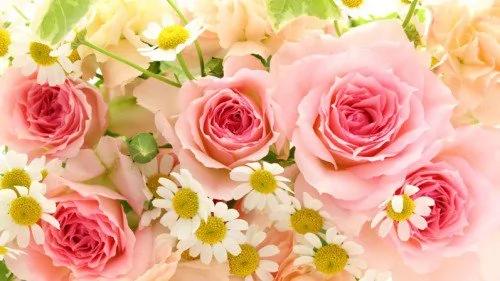 王阳明:在心里种花,人生才不会荒芜