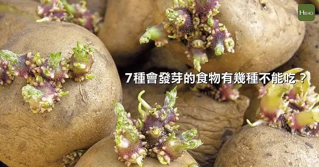 这7种会发芽的食物有几种不能吃?看你答对几个