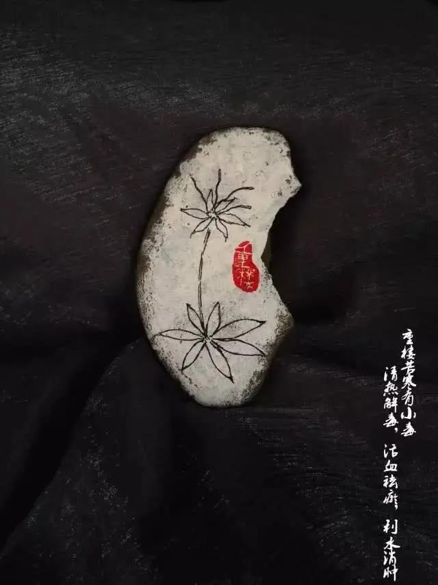 决定人寿命长短的 不是吃和运动 而是…