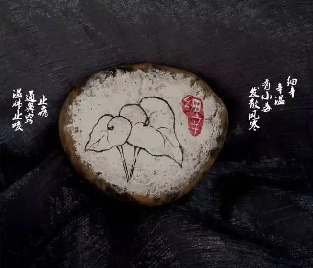 决定人寿命长短的 不是吃和运动 而是…