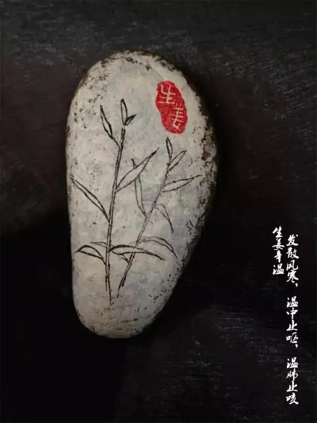 决定人寿命长短的 不是吃和运动 而是…