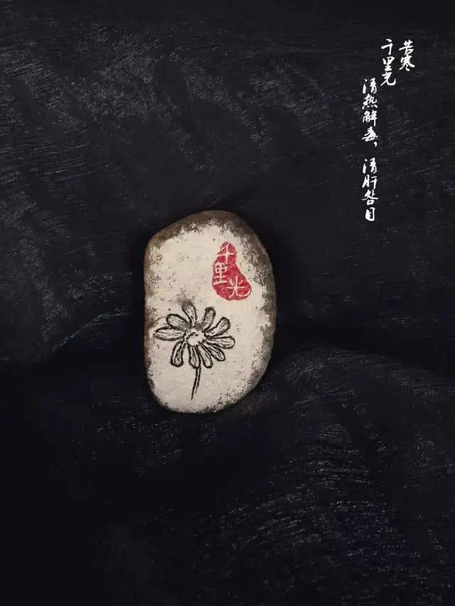 决定人寿命长短的 不是吃和运动 而是…