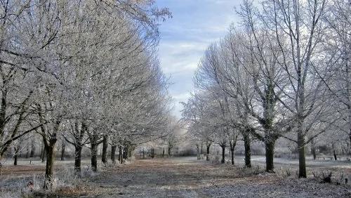 大雪降临 我们最需要注意这件事!