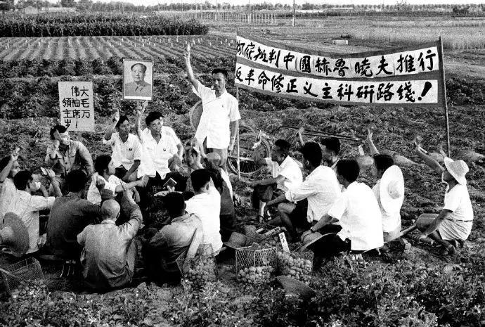 坚信自己的常识和良知来戳穿谎言