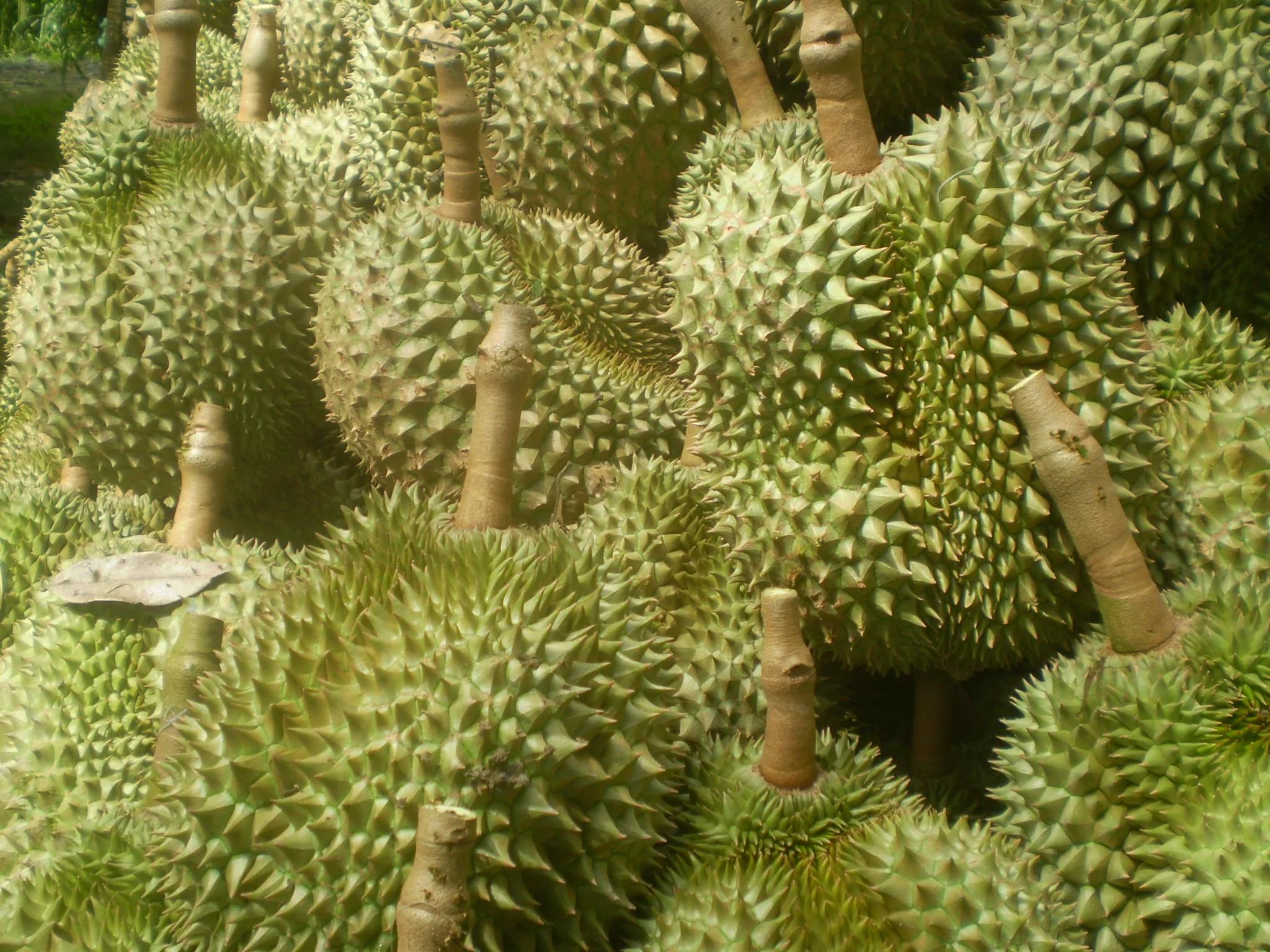 示意图，与本文无关（图片来源：Duy-ThuongonVisual Hunt/CC BY)