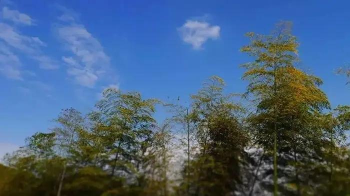 怀念几位逝去的民主先辈