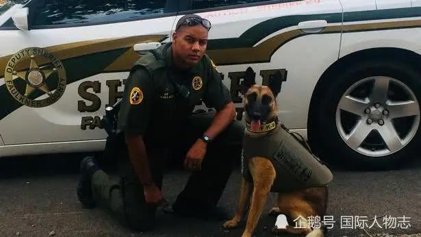 情報 兩狗打架主人報警 警察開槍打傷吉娃娃後被罵 虐待動物 遭解僱 場外休憩區哈啦板 巴哈姆特