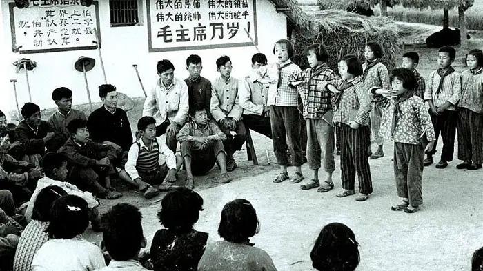 成分论 洗脑 害人