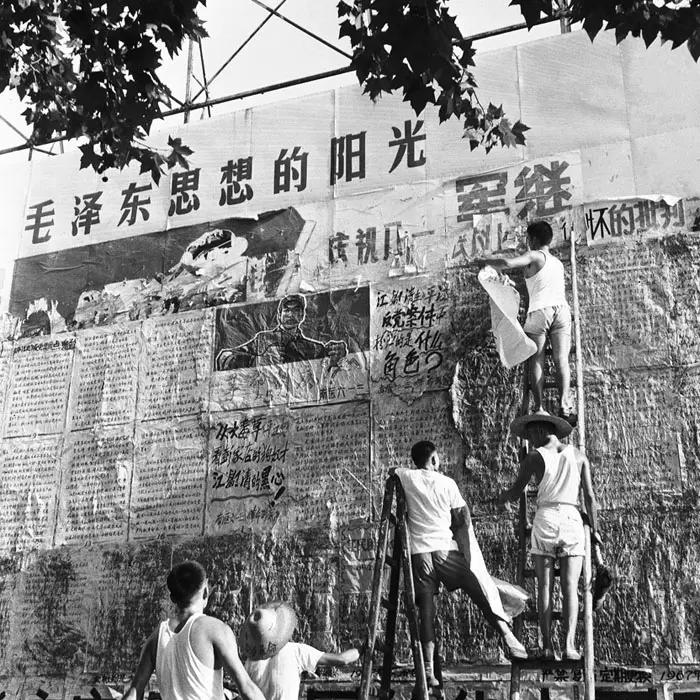 杨小凯著《牛鬼蛇神录》: “舵手”
