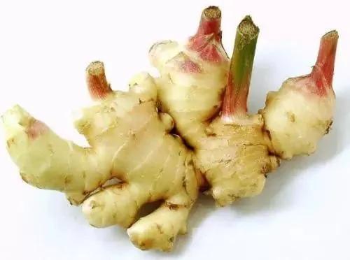 超实用的蔬果保鲜秘籍 比冰箱管用10倍