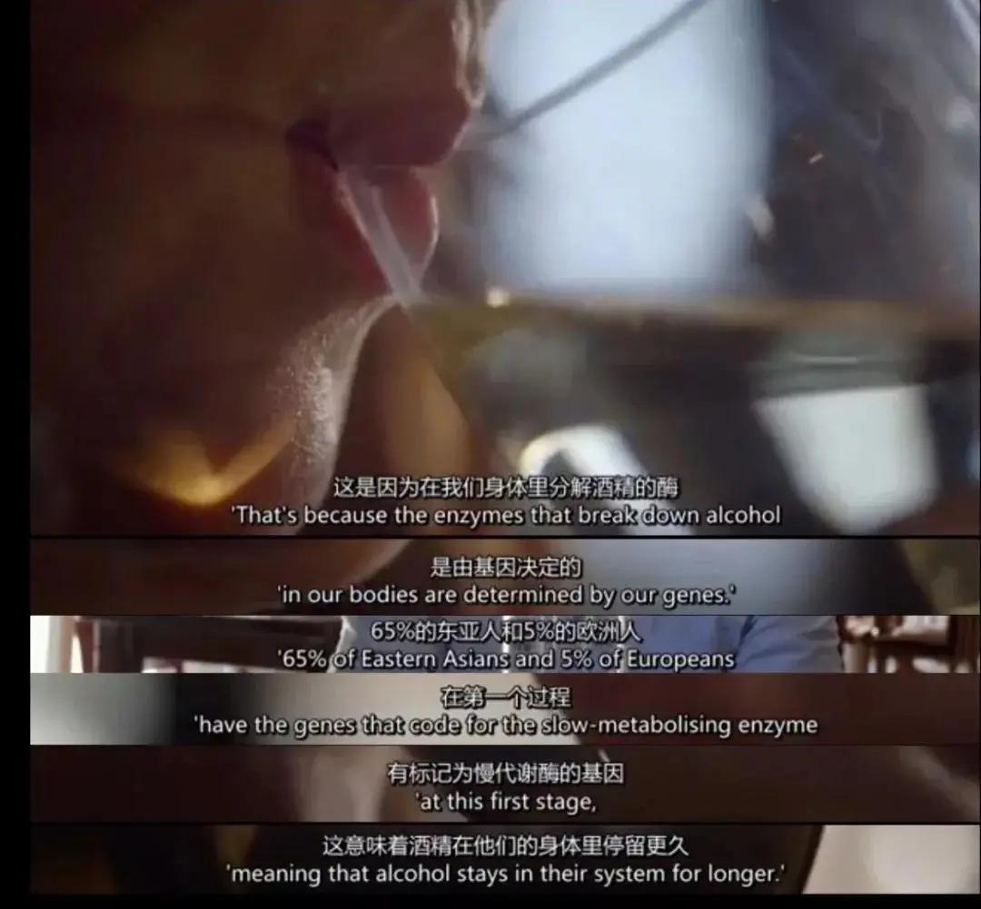 酒桌上的每个人 都撒过这5个谎