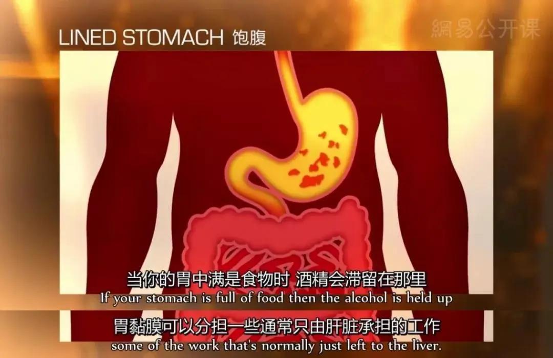 酒桌上的每个人 都撒过这5个谎