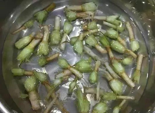 这12种天天往外扔的东西 居然是个宝!感觉自己扔了一个亿!