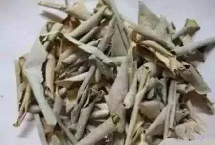这12种天天往外扔的东西 居然是个宝!感觉自己扔了一个亿!
