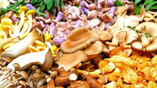 排血毒清血栓 这些天然食物能有效清血溶栓!