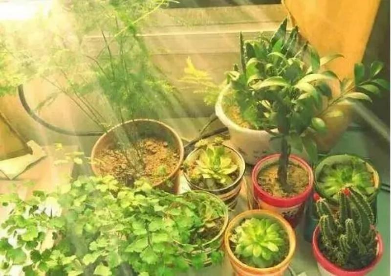 十大健康生活方式(建议永久坚持)