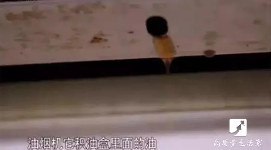 只要一个塑料瓶 油烟机用上一年都不用洗!