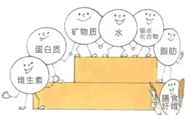 华人眼中的8大好习惯 医生早已列入慢性自杀榜!