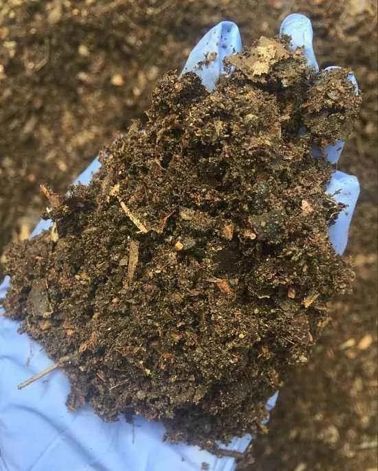 养花必知的5个“窍门” 简单实用 长得茂盛不怕烂根!