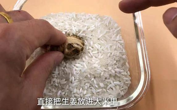 保存生姜这么简单 教你一个诀窍