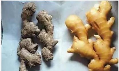 保存生姜这么简单 教你一个诀窍