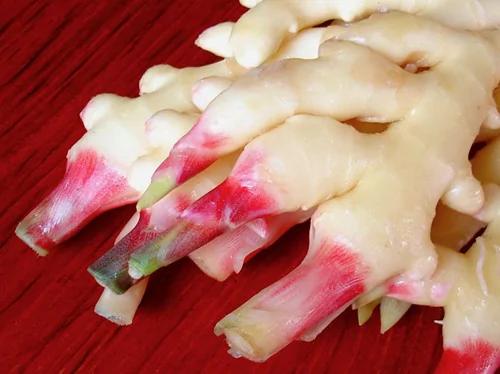 保存生姜这么简单 教你一个诀窍