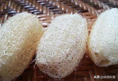 这些生活小常识 你应该不知道吧!