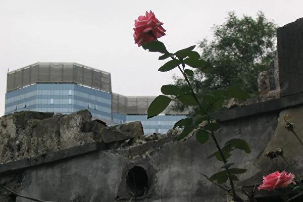 中华传统文化之叹 消失的胡同和四合院(下)