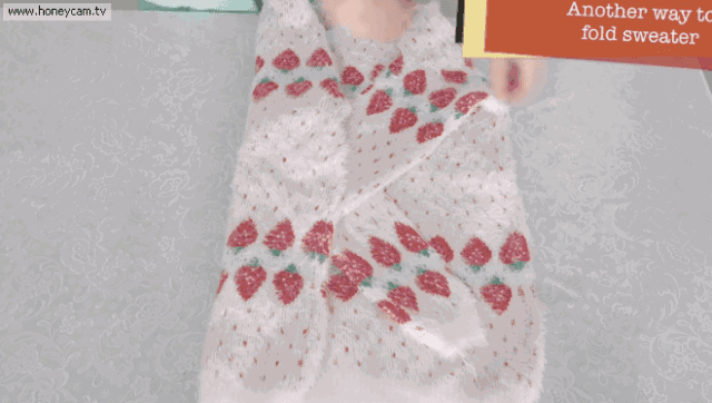 20190313040532955