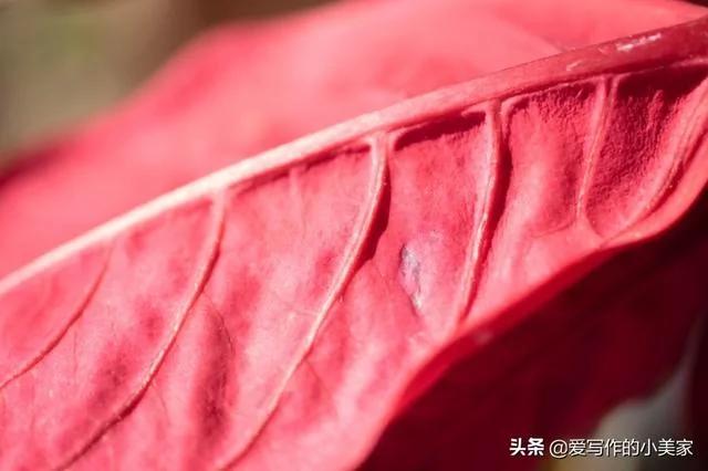 人到五十 在这三个地方”舍“一点 命就越好!
