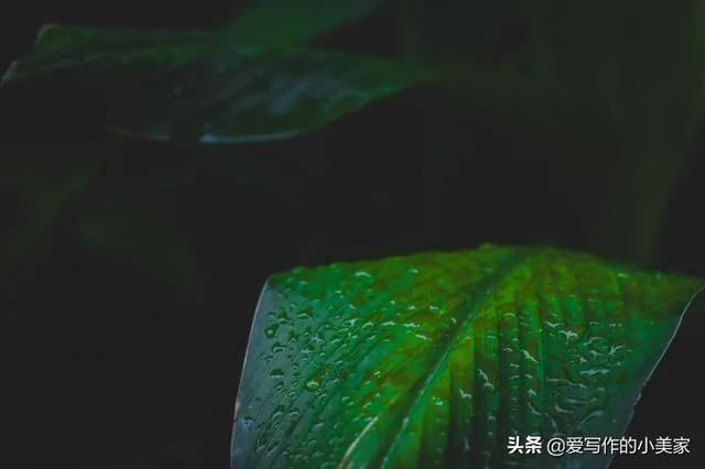 人到五十 在这三个地方”舍“一点 命就越好!