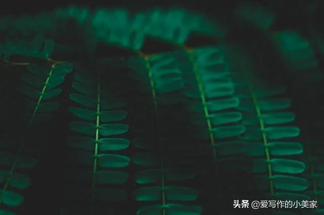 人到五十 在这三个地方”舍“一点 命就越好!