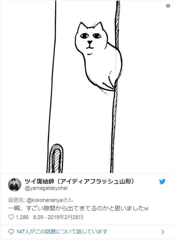 回家惊见”飘浮猫“ 这毛孩子到底怎么让自己出现在那儿的?
