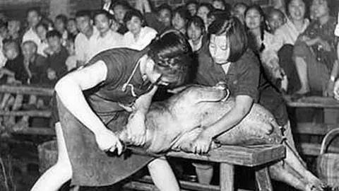 红朝奇葩 小姑娘如何变屠夫