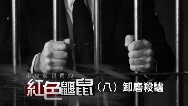 江峰:中央情报局的红色鼹鼠第八集——卸磨杀驴