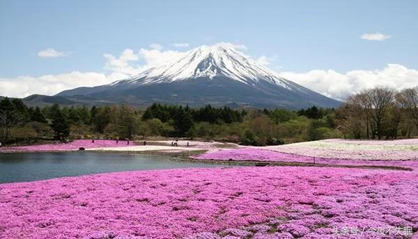 中国情侣去日本旅游因钱带太少被遣返 出境旅行这些事项需注意!