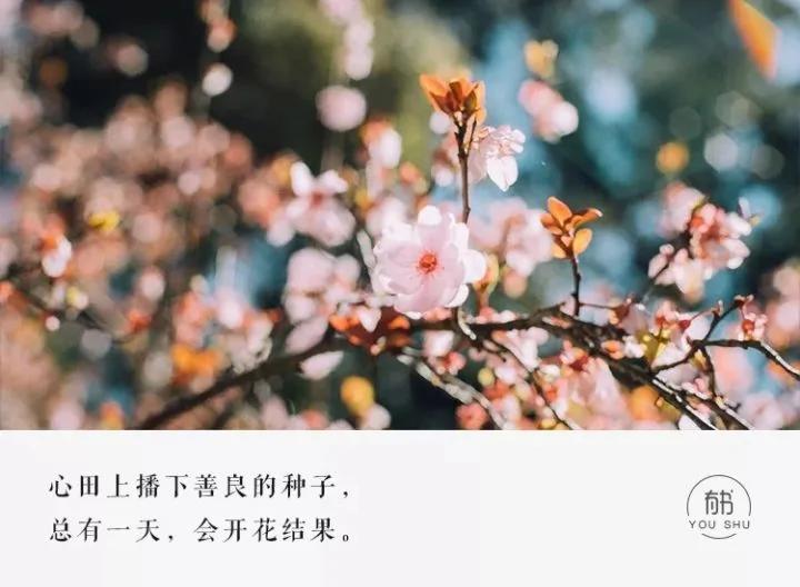 你只管善良 上天自有安排