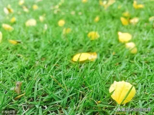 欲成大树 莫与草争!(精辟)