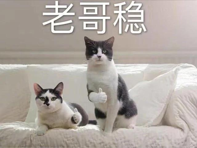 2019世界最安全国度排行榜 前十只有一个亚洲国家 不是中国日本