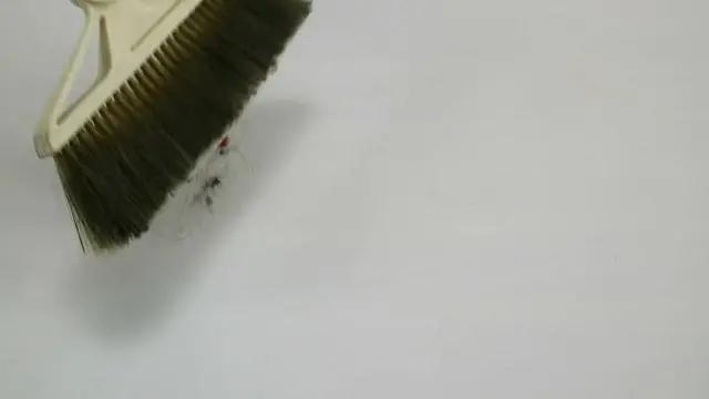 扫了30年的地才发现 塑胶袋套在扫把上 千家万户的难题就解决了!