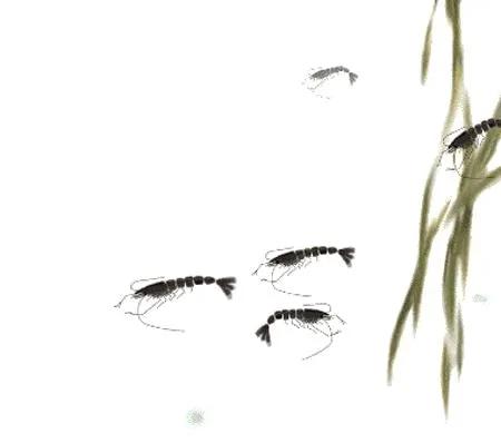 人的好运气 从你身上这8处而来!