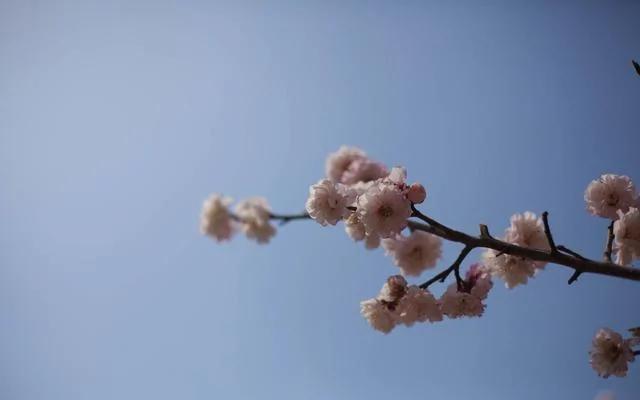 人生不顺时 想想鬼谷子这三句话 福报自然来!