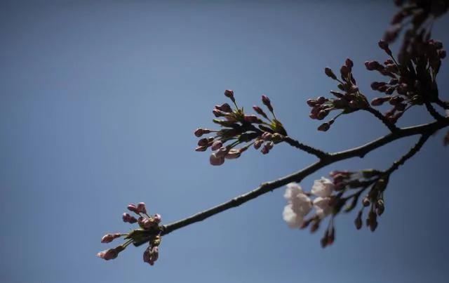 人生不顺时 想想鬼谷子这三句话 福报自然来!