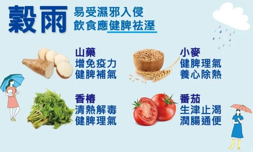 节气养生》谷雨至湿气重 饮食应健脾胃祛湿
