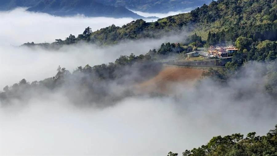 南山寺粉红美景如仙境!