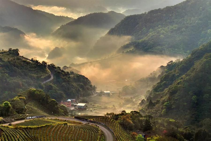 南山寺粉红美景如仙境!