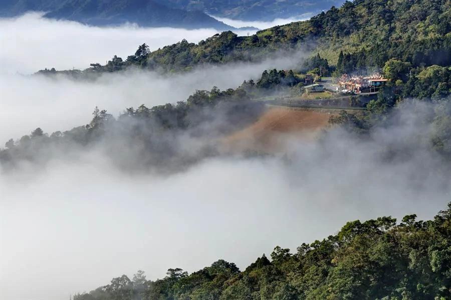 南山寺粉红美景如仙境!