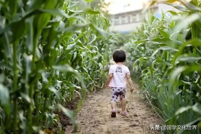 你只管善良 福报已在路上