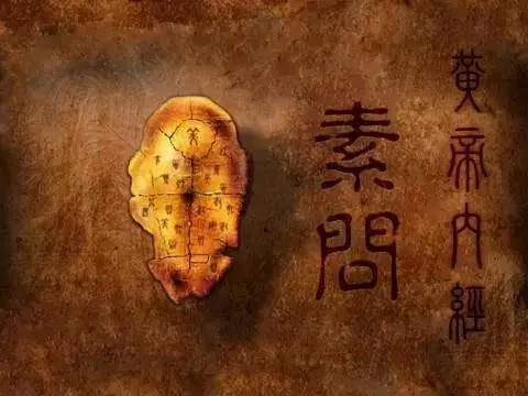 和舒服的人在一起 就是养生(深度好文)